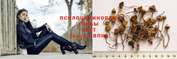 бошки Медногорск