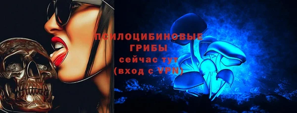бошки Медногорск