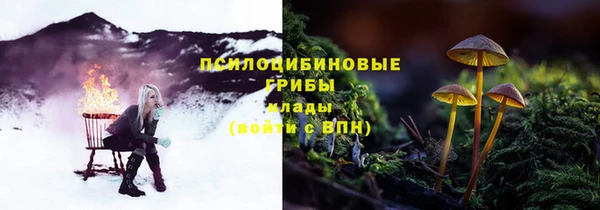 бошки Медногорск