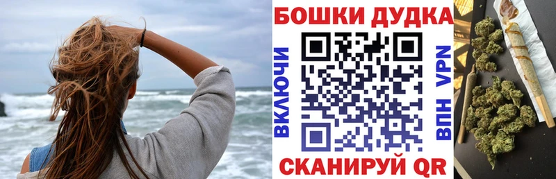 Конопля SATIVA & INDICA  Купить закладки  Медногорск 